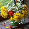 العراقي العراقي's profile picture
