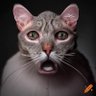 Фото профиля R3CALL