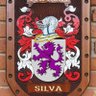 Rid Silva 🇬🇧🇧🇷 profil fotoğrafı