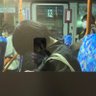 全知全能のバカを司る者 頭空新's profile picture