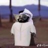 samorai profil fotoğrafı