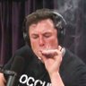 Profilbild von NO CONTEXT TESLA