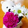 Yumi29468261826 profil fotoğrafı