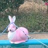 だ 的头像