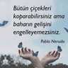 Фото профиля NEŞE