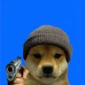 bestxml 的头像