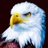 Profilbild von Sadecenebi