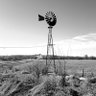 Фото профиля Down The Road Homestead