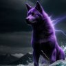 Purple Coin profil fotoğrafı