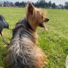 Jota C profil fotoğrafı