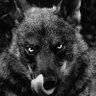 Profilbild von Marc Grand