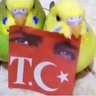 İrem profil fotoğrafı