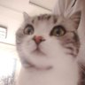 Ar profil fotoğrafı