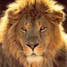 Andryk's profile picture
