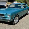 Mustang Sally 的头像