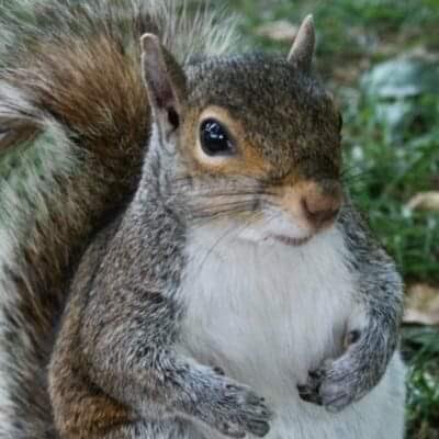 Rick's profile picture
