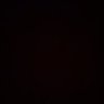 Neico's profile picture