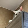 Hrs_7 的头像