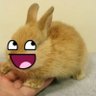 Bec profil fotoğrafı