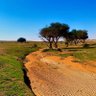 Фото профиля عبدالرحمن بن فهد
