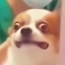 Big Ant's profile picture