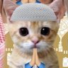 HAJI MASTE 的头像