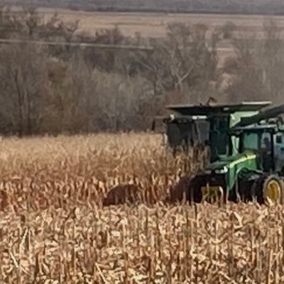 Farmer Joe's profile picture