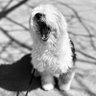 Фото профиля Leo