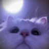 Profilbild von Spaceghost444