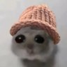 Фото профиля sadhamster