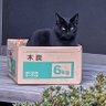 しょたろさん🍥 profil fotoğrafı