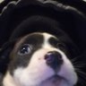 Profilbild von MrMehMeepin