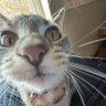jvn's profile picture