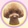Profilbild von ころたん