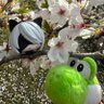 香風🤢（かふー）@晴れの国のゴ民's profile picture