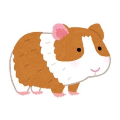 1r0xrx's profile picture