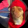 Buddah Bangz's profile picture