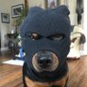 kenzu's profile picture