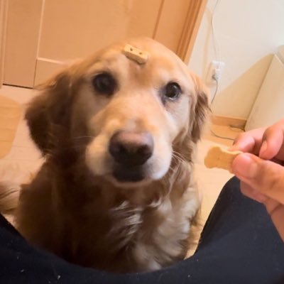熊倉貫太's profile picture
