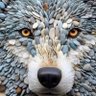 Louve profil fotoğrafı
