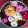 Фото профиля コマコ なう