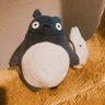 Profilbild von トットロとトトロ
