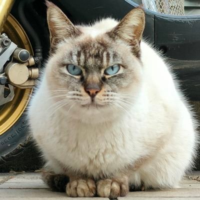 CARTAKE427's profile picture