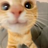 Yaru愛 profil fotoğrafı