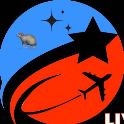 BSF42069's profile picture