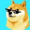 DogeTashi 🚀's profile picture