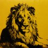 Adam Baker's profile picture
