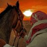 عبدالرحمن's profile picture