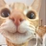 NOAH 的头像
