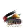 Profilbild von Ahmed Gamal